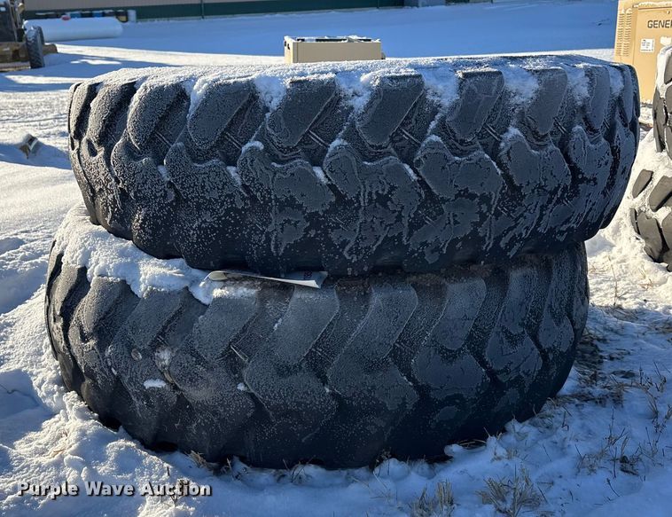 image for item DK0195 (9) 14R24 tires