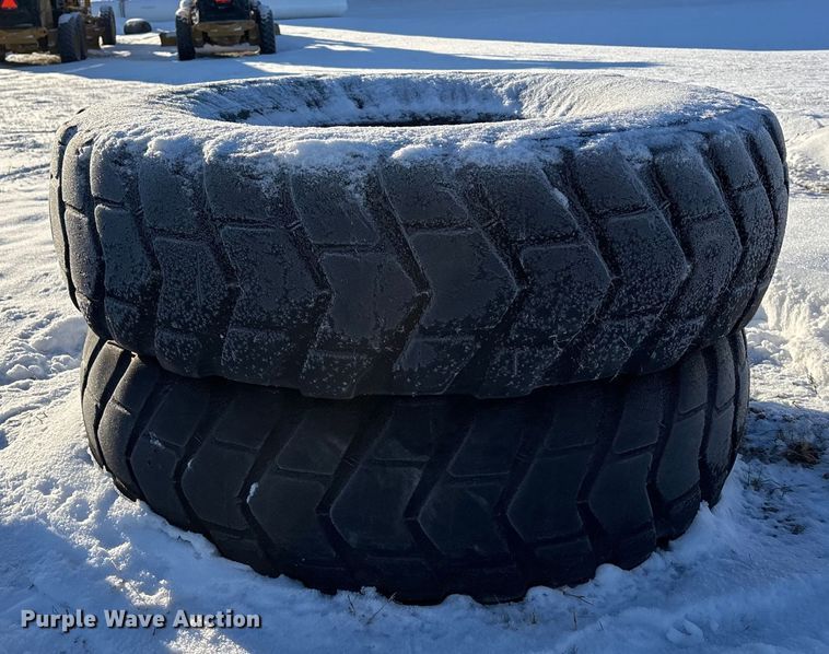 image for item DK0195 (9) 14R24 tires