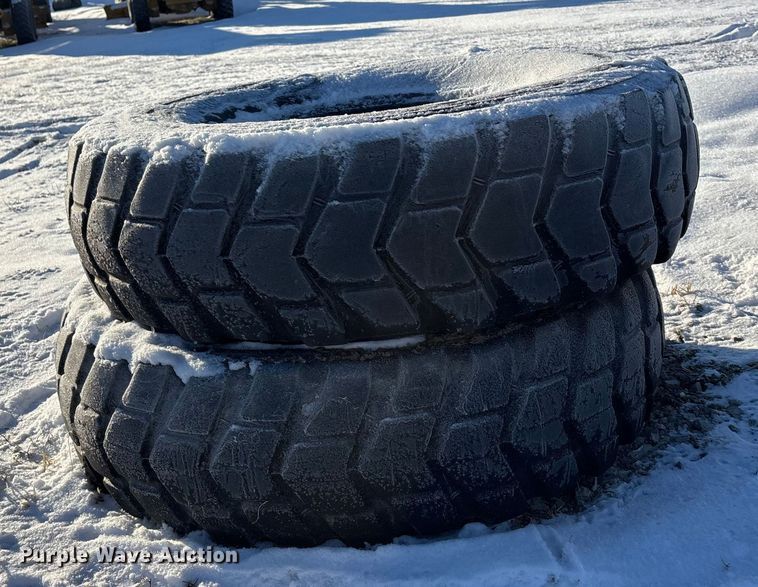 image for item DK0195 (9) 14R24 tires