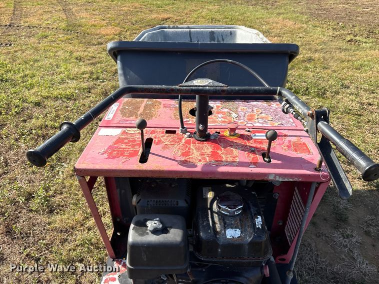 image for item ET7418 2017 Allen AR16 concrete buggy