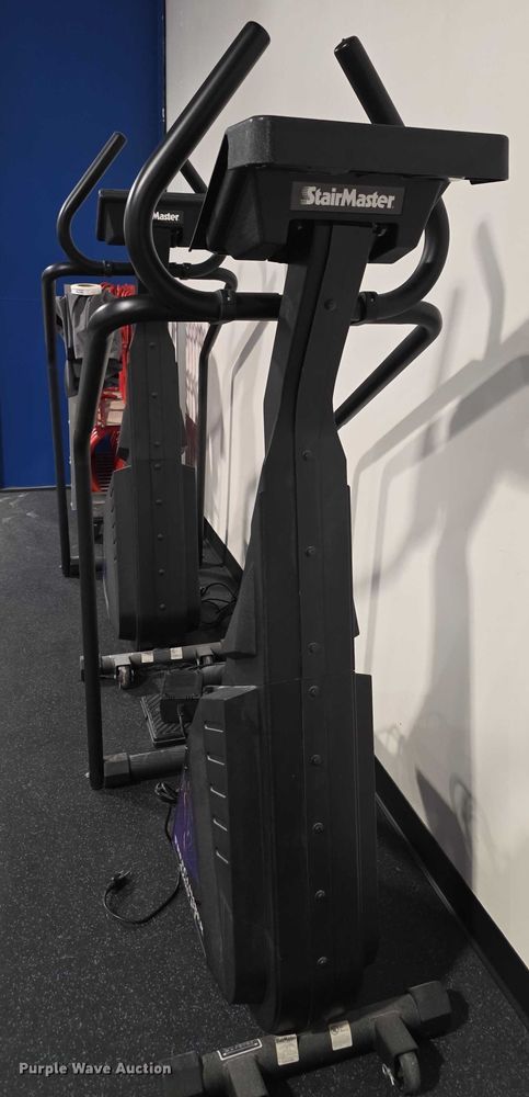 image for item DZ3704 (2) Stair Master Free Climber 4200s