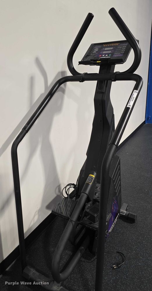 image for item DZ3704 (2) Stair Master Free Climber 4200s