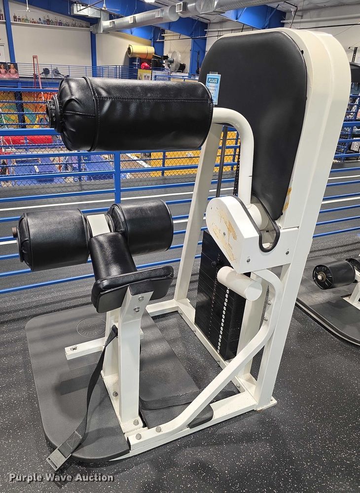 image for item DZ3705 (2) Nautilus abdominal machines