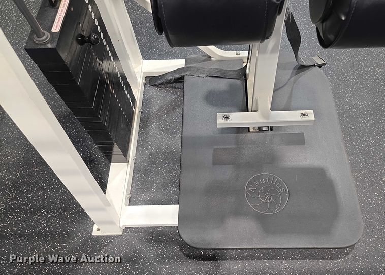 image for item DZ3705 (2) Nautilus abdominal machines