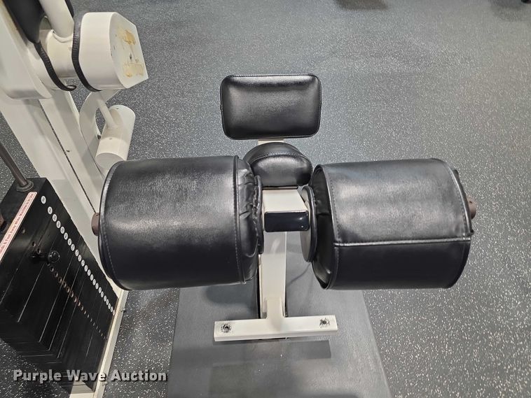 image for item DZ3705 (2) Nautilus abdominal machines