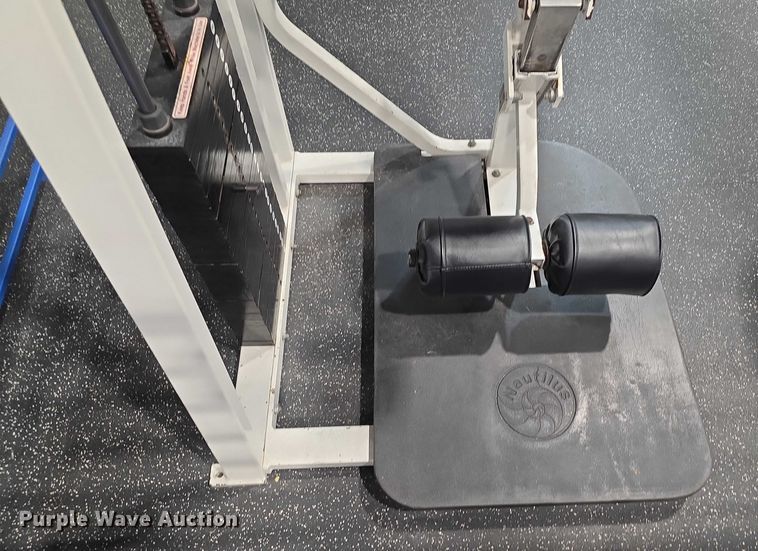 image for item DZ3705 (2) Nautilus abdominal machines