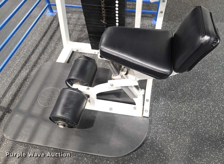 image for item DZ3705 (2) Nautilus abdominal machines