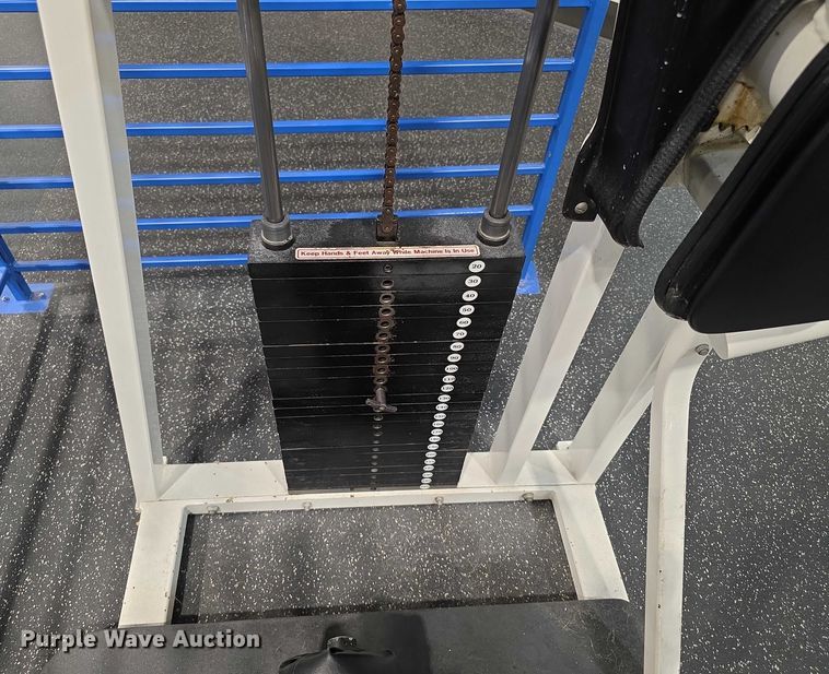 image for item DZ3705 (2) Nautilus abdominal machines