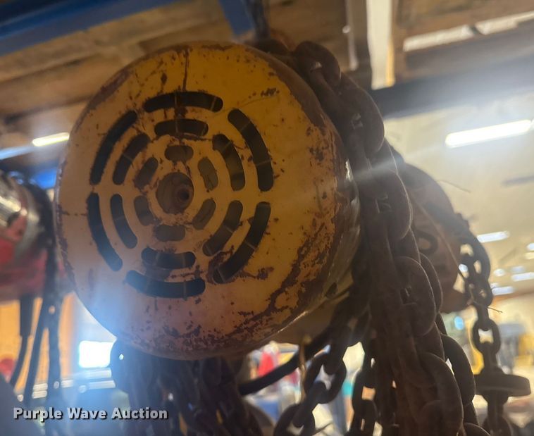 image for item EU4015 Budgit hoist 