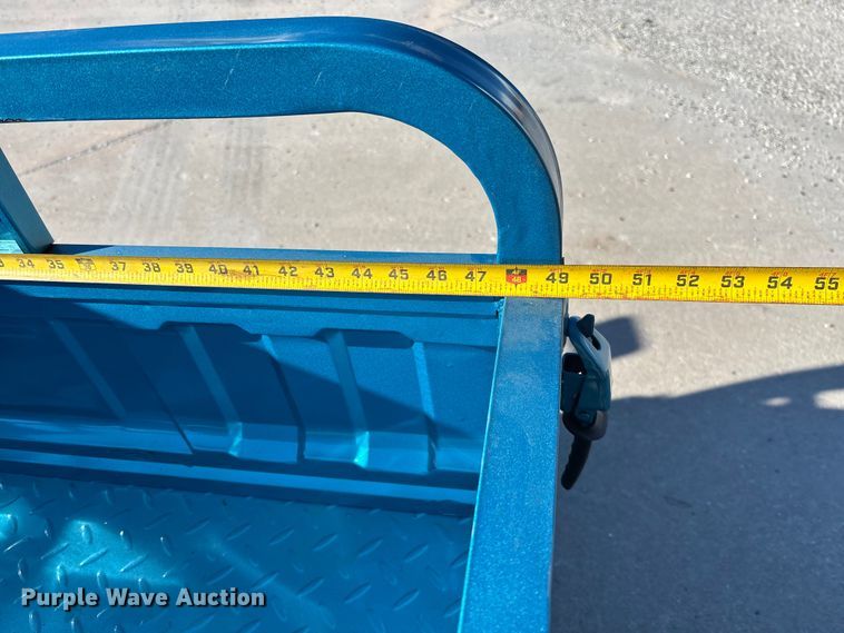 image for item EV3452 2025 IR IRET13 electric tricycle