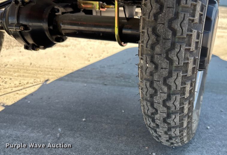 image for item EV3452 2025 IR IRET13 electric tricycle