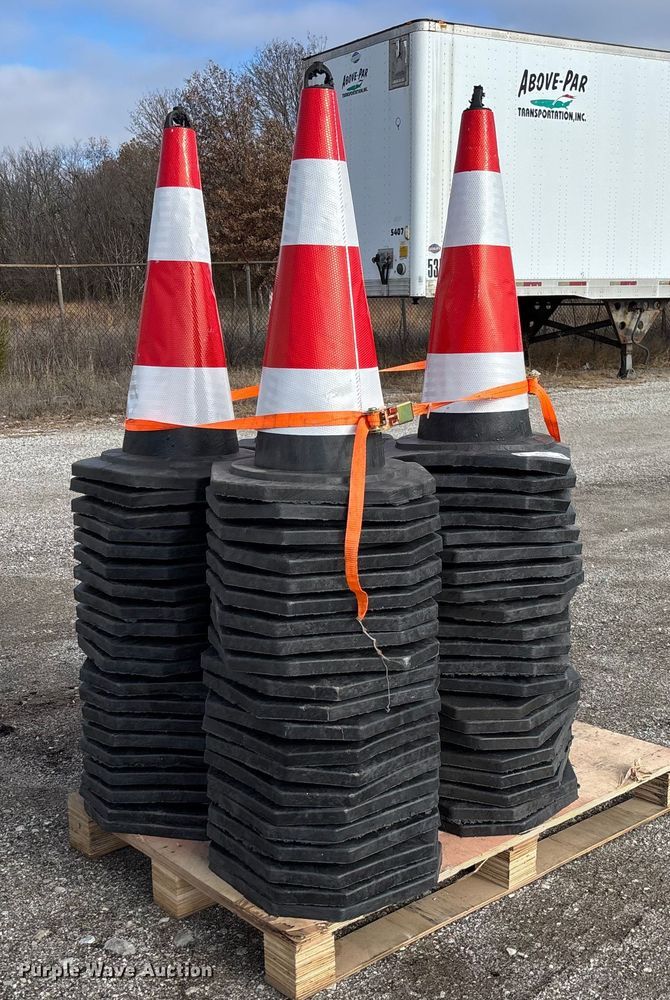 image for item EV3441 (99) traffic cones
