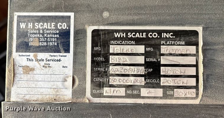 image for item FG1660 Thorman Toledo 8132 drive over scales