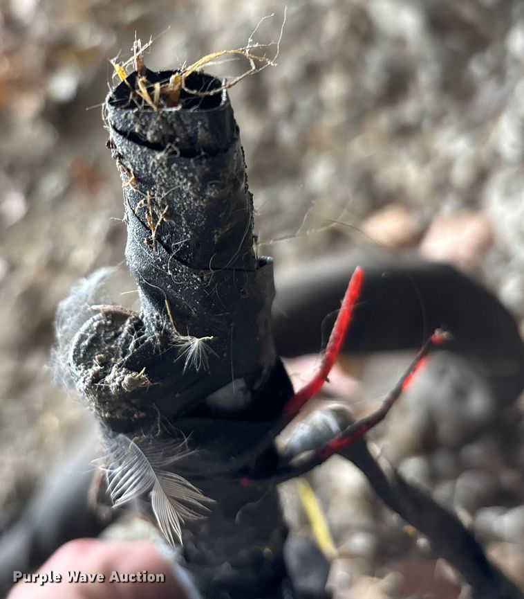 image for item ED2460 Alamo Industrial 50 PR side boom mower