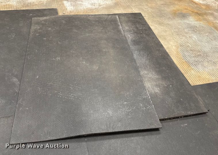 image for item EN0169 Exercise equipment