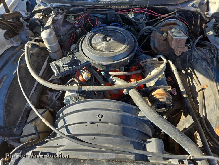 image for item ES2672 1977 Chevrolet Monte Carlo 