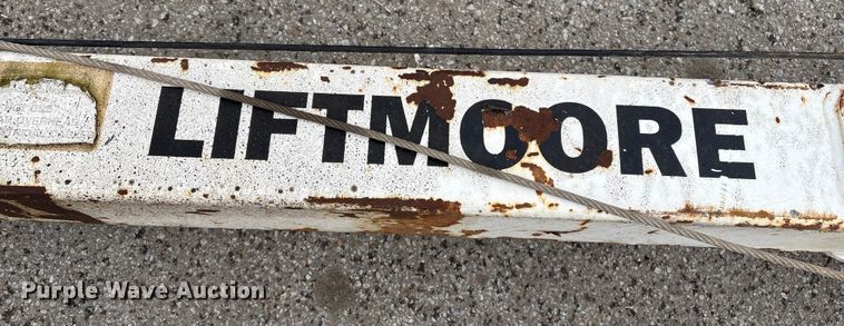 image for item FG2560 (3) Liftmoore cranes