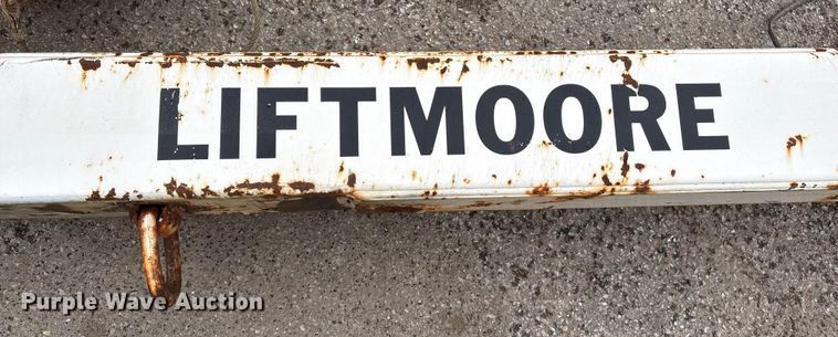 image for item FG2560 (3) Liftmoore cranes