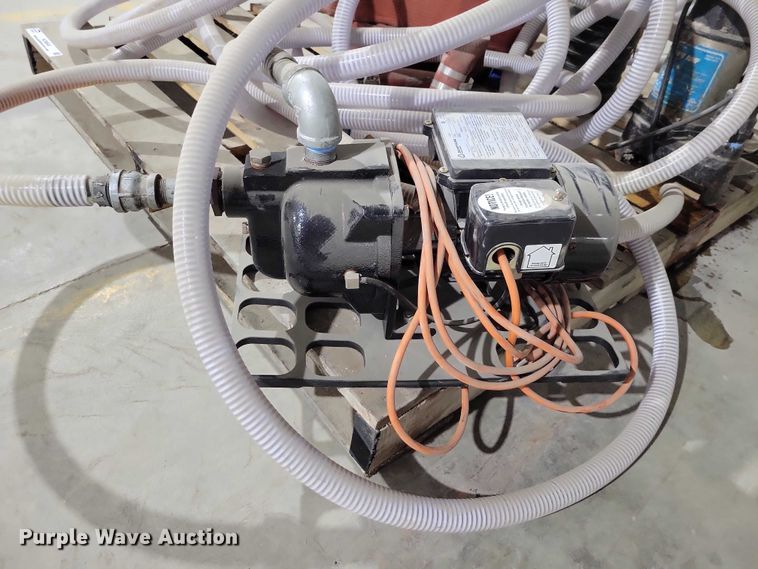 image for item NO9849 (2) pumps