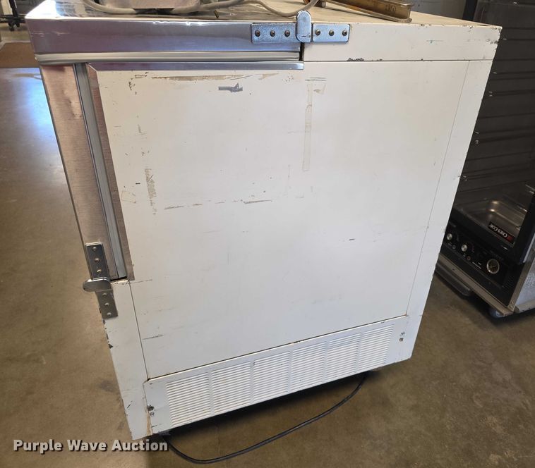 image for item DZ3751 (2) coolers