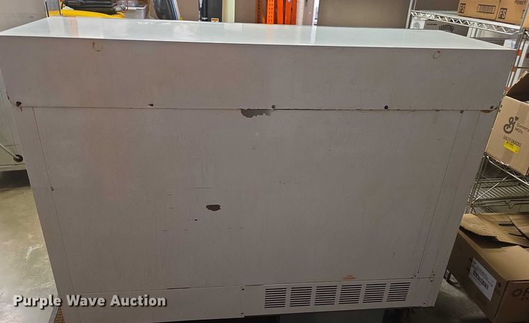 image for item DZ3751 (2) coolers