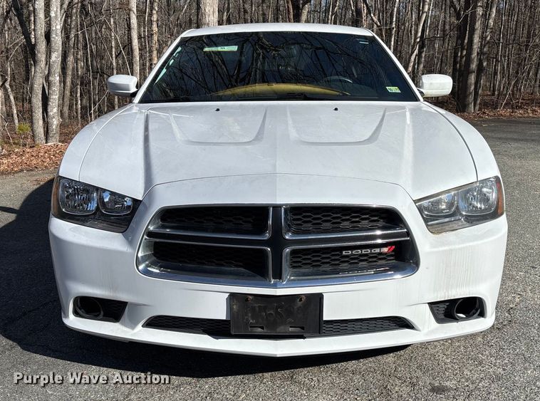image for item FI1619 2014 Dodge Charger Police