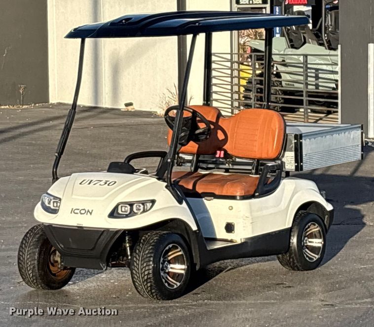 image for item EN5942 Icon LT-A617.2 golf cart