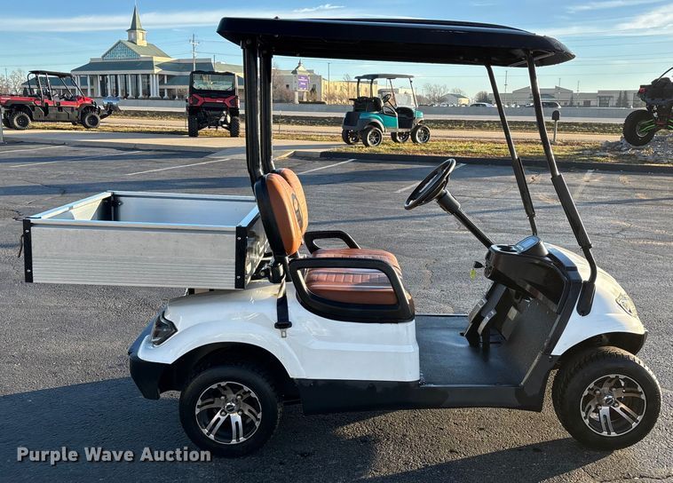 image for item EN5942 Icon LT-A617.2 golf cart