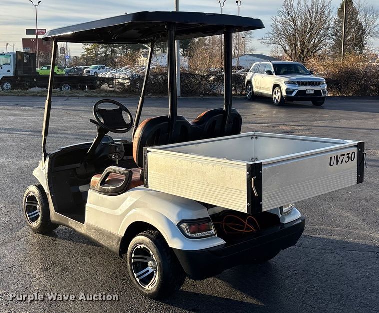 image for item EN5942 Icon LT-A617.2 golf cart