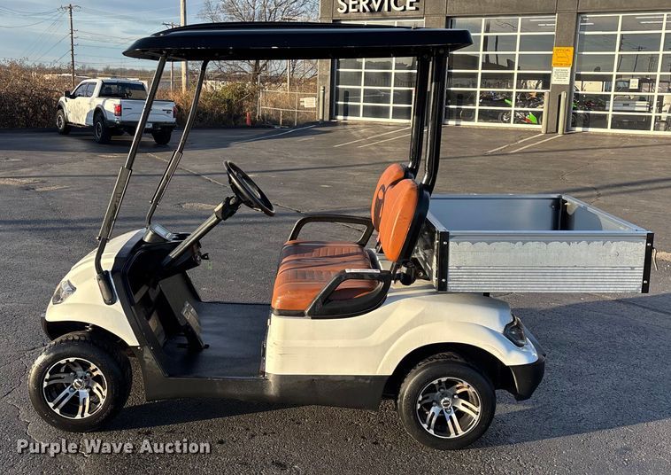 image for item EN5942 Icon LT-A617.2 golf cart