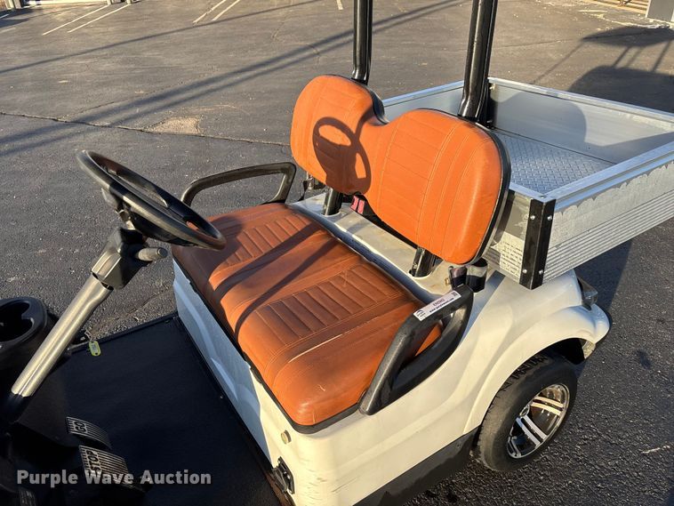 image for item EN5942 Icon LT-A617.2 golf cart