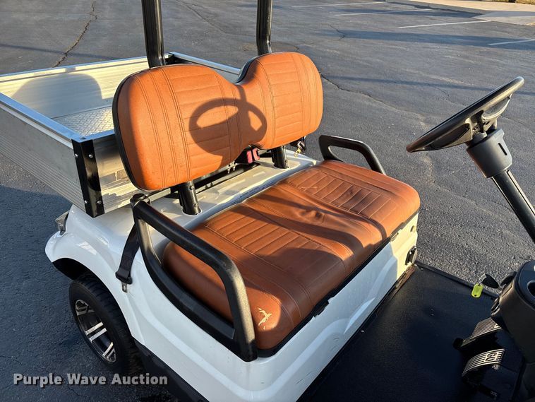 image for item EN5942 Icon LT-A617.2 golf cart