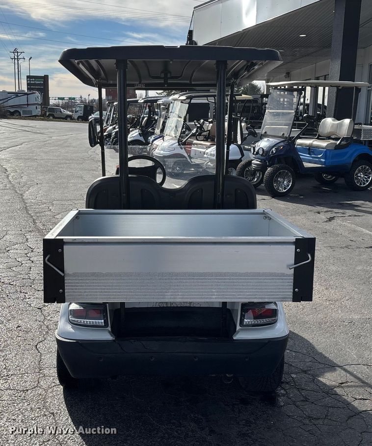 image for item EN5949 Icon LT-A617.2 golf cart