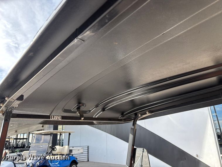 image for item EN5949 Icon LT-A617.2 golf cart