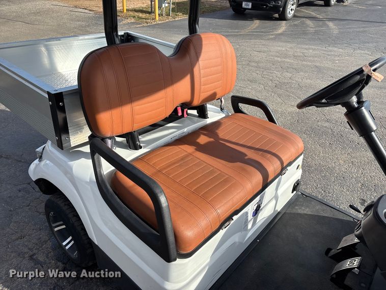 image for item EN5949 Icon LT-A617.2 golf cart