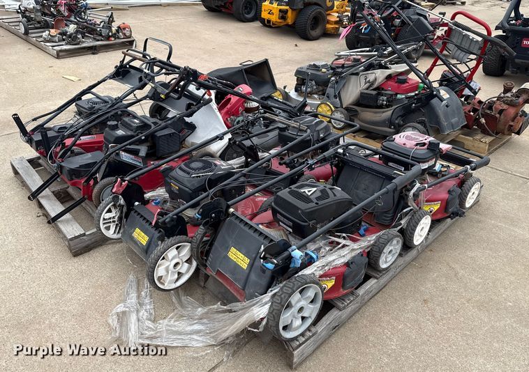 image for item ES5691 Lawn mowers