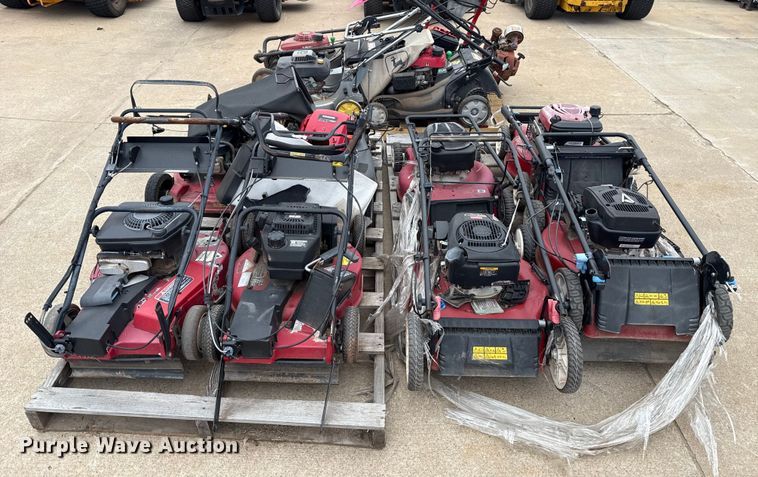 image for item ES5691 Lawn mowers