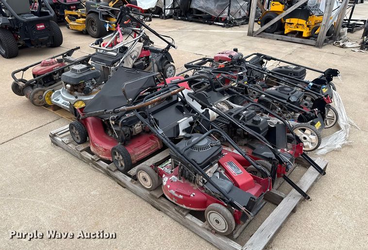 image for item ES5691 Lawn mowers