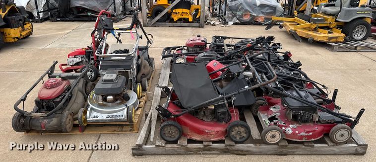 image for item ES5691 Lawn mowers