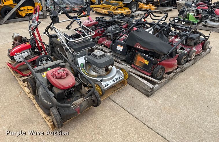 image for item ES5691 Lawn mowers