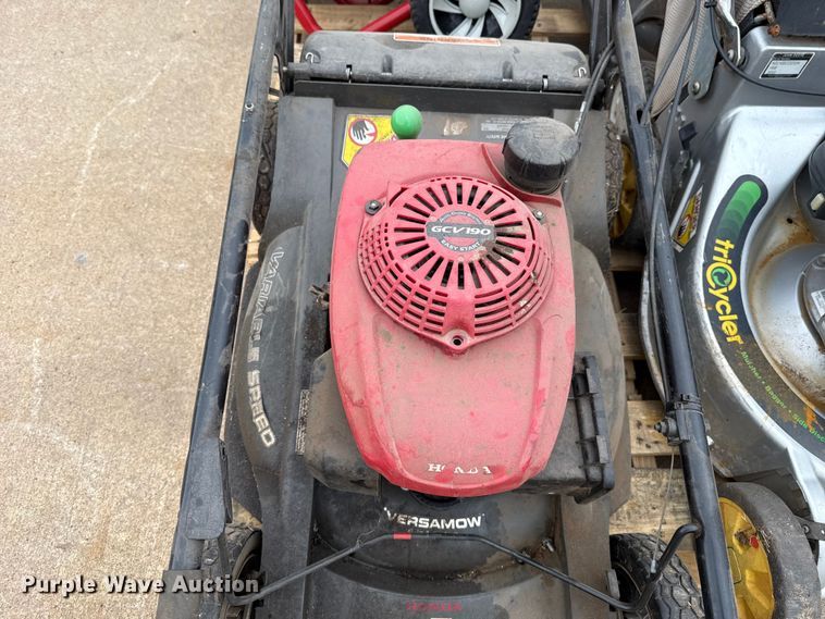 image for item ES5691 Lawn mowers