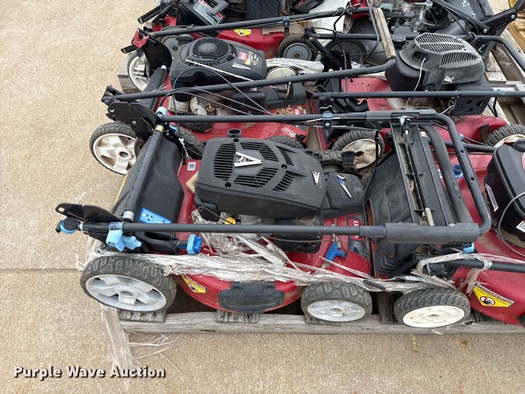 image for item ES5691 Lawn mowers