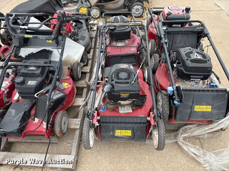 image for item ES5691 Lawn mowers