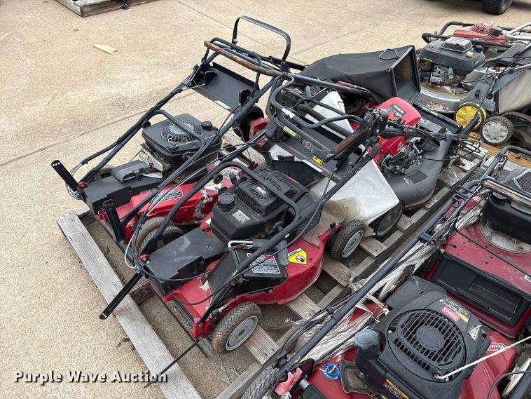 image for item ES5691 Lawn mowers