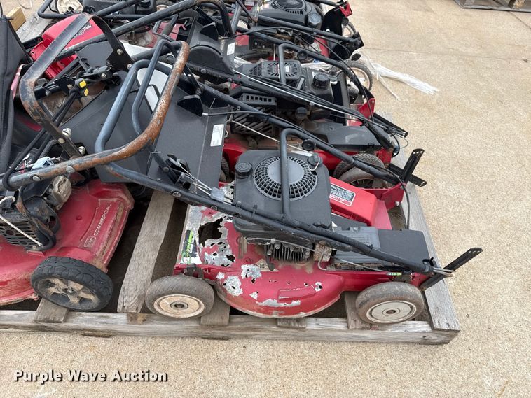 image for item ES5691 Lawn mowers