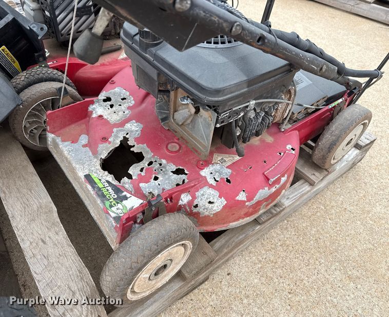 image for item ES5691 Lawn mowers