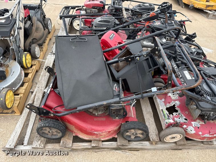 image for item ES5691 Lawn mowers