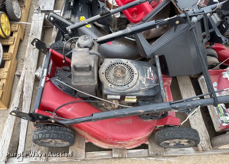 image for item ES5691 Lawn mowers