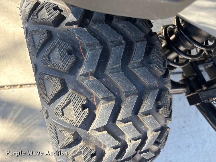 image for item EU0255 2025 SDLANCH SDLGC80 golf cart