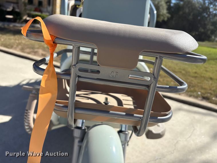 image for item EU0256 IR IRGC40 electric tricycle